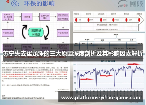 苏宁失去崔龙洙的三大原因深度剖析及其影响因素解析
