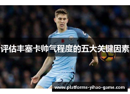 评估丰塞卡帅气程度的五大关键因素